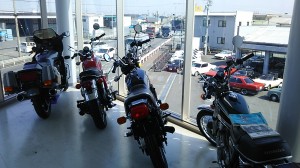 IMG_20190315_100527
