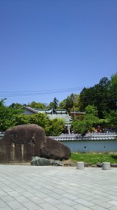 IMG_20190508_120758