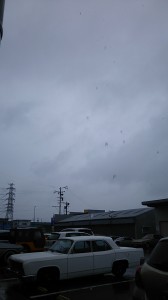 IMG_20190727_131255