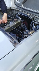 IMG_20191215_090926