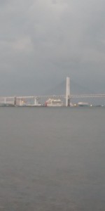 IMG00135