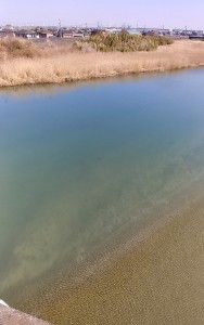 IMG02375_HDR