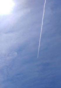 IMG02726