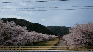 IMG02378