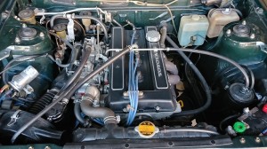 IMG04205_HDR