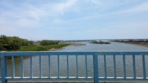 PXL_20240611_024626598.MP