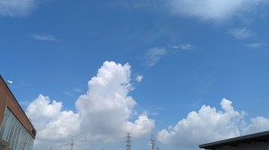 PXL_20240824_014342110