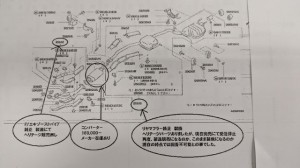 PXL_20250408_050152356 (002)