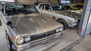 PXL_20250914_080050448 (002)