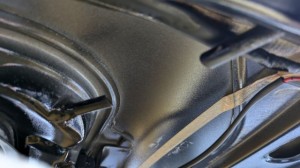 PXL_20250915_060019328 (002)