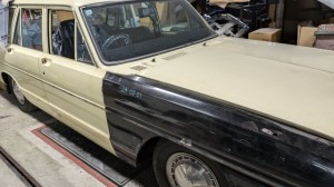 PXL_20251017_075059680 (002)