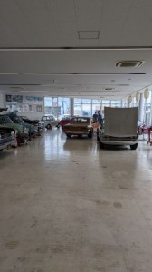 PXL_20251018_010258072 (002)