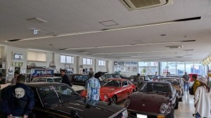 PXL_20251019_020402082 (002)