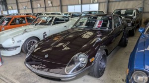 PXL_20251020_054238665 (002)