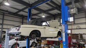 PXL_20251021_054452582 (002)