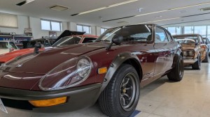 PXL_20251025_064748574 (002)