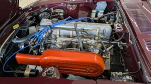 PXL_20251025_064807502 (002)