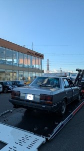 PXL_20251028_070627882 (002)