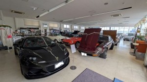 PXL_20251102_003928289 (002)