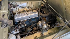 PXL_20251102_072937110 (002)