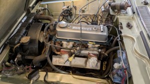 PXL_20251102_072946527 (002)