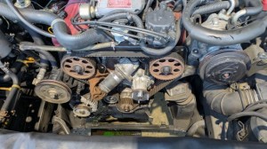 PXL_20251106_072050944 (002)