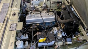 PXL_20251106_074529045 (002)