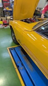 PXL_20251107_003551764 (002)