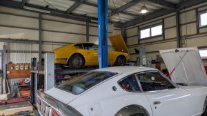 PXL_20251110_013050420 (002)