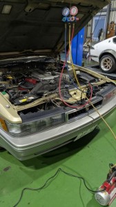 PXL_20251113_074357458 (002)