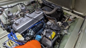 PXL_20251113_075008126 (002)