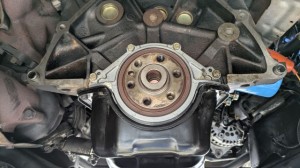 PXL_20251115_024557576 (002)