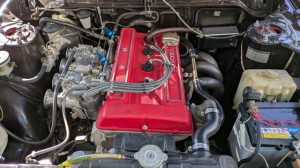 PXL_20251115_040041016 (002)