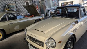 PXL_20251117_050044351 (002)