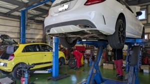 PXL_20251120_015003635 (002)