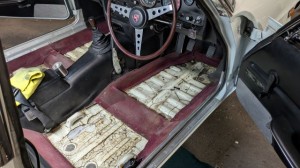 PXL_20251121_080602304 (002)