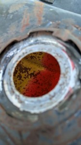 PXL_20251123_070656931 (002)