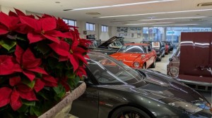 PXL_20251123_075446835 (002)