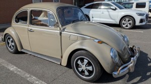 PXL_20251124_024736653 (002)