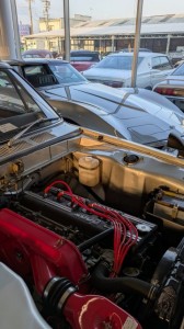 PXL_20251125_064627791 (002)