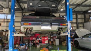 PXL_20251211_050421481 (002)