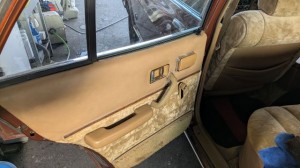 PXL_20251211_060709136 (002)