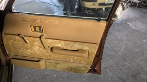 PXL_20251211_062354623 (002)