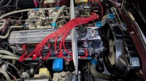 PXL_20251225_063234663 (002)