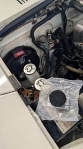 PXL_20260107_045139731 (002)