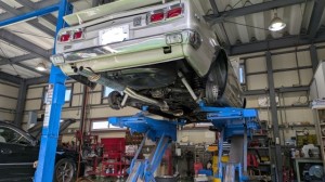 PXL_20260109_035025758 (002)