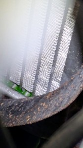 PXL_20260109_064838214 (002)