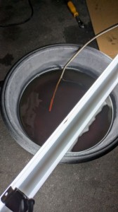 PXL_20260116_080001277 (002)