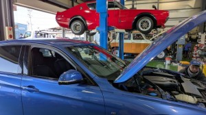 PXL_20260117_014006693 (002)