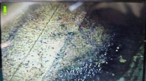 PXL_20260117_045544819 (002)